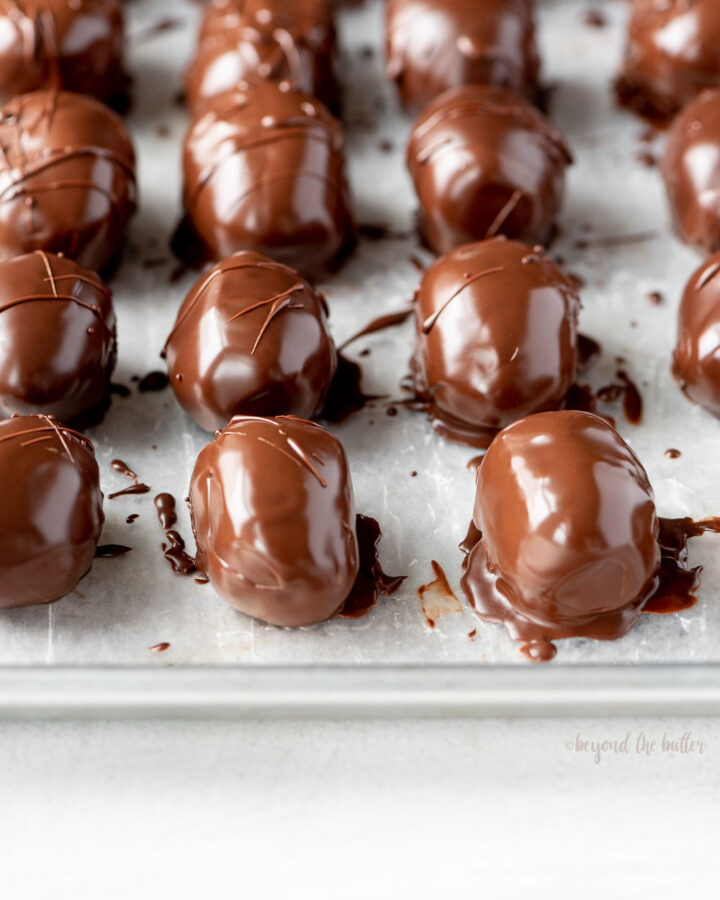 Angled image of just dipped chocolate covered peanut butter eggs on a baking sheet.