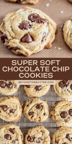 Images of Super Soft Chocolate Chip Cookies from Beyond the Butter®.