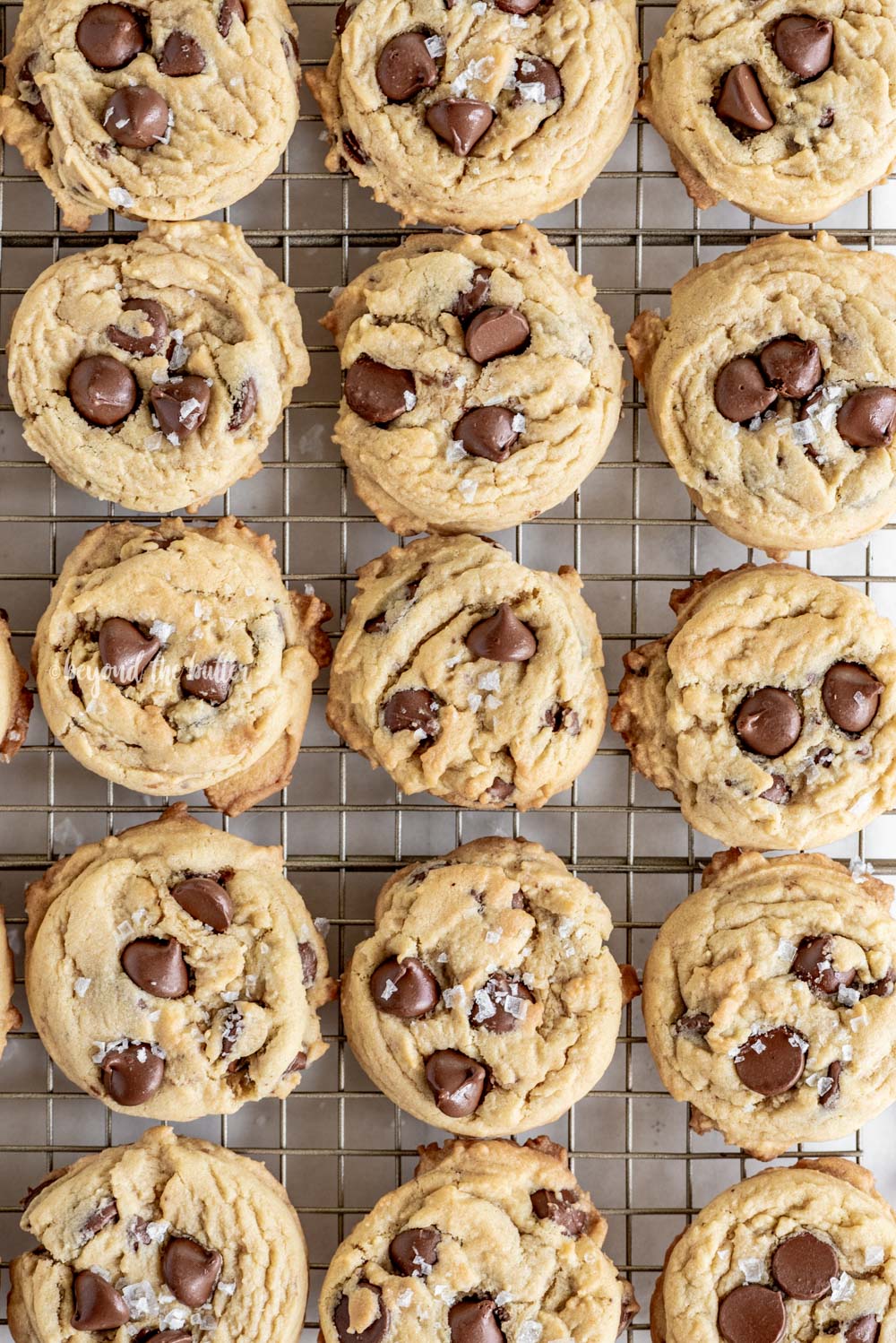 Super Soft Chocolate Chip Cookies | All Images © Beyond the Butter, LLC