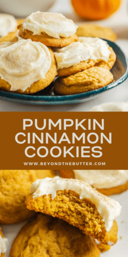 Images of super soft pumpkin cinnamon cookies from Beyond the Butter®.