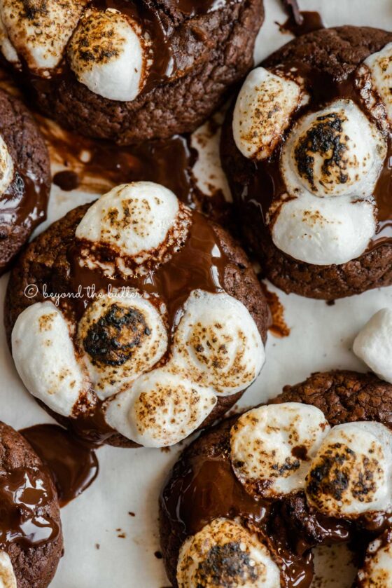 Hot Chocolate Mini Marshmallow Cookies