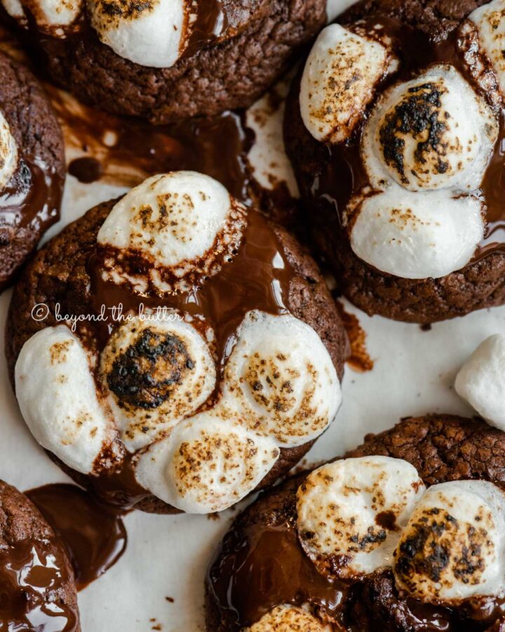 Closeup overhead of hot chocolate mini marshmallow cookies.