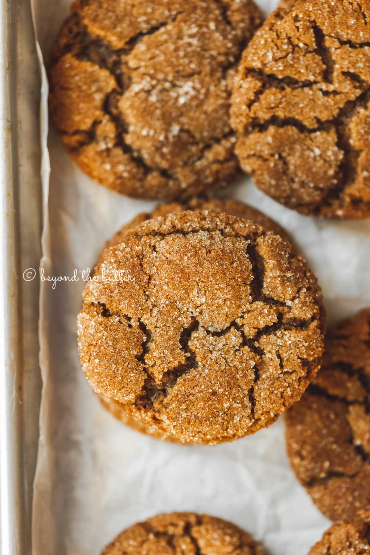 Overhead image of soft molasses sugar cookies on a parchment paper lined baking sheet.