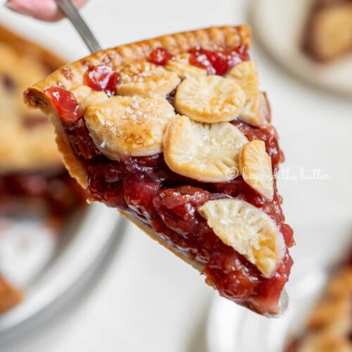Homemade Cherry Pie - Beyond the Butter