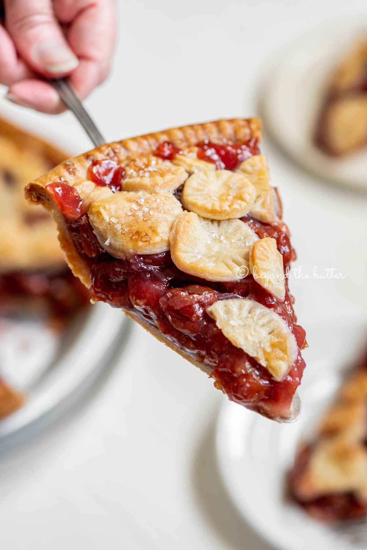 Hand holding a slice of homemade cherry pie with slices in the background.