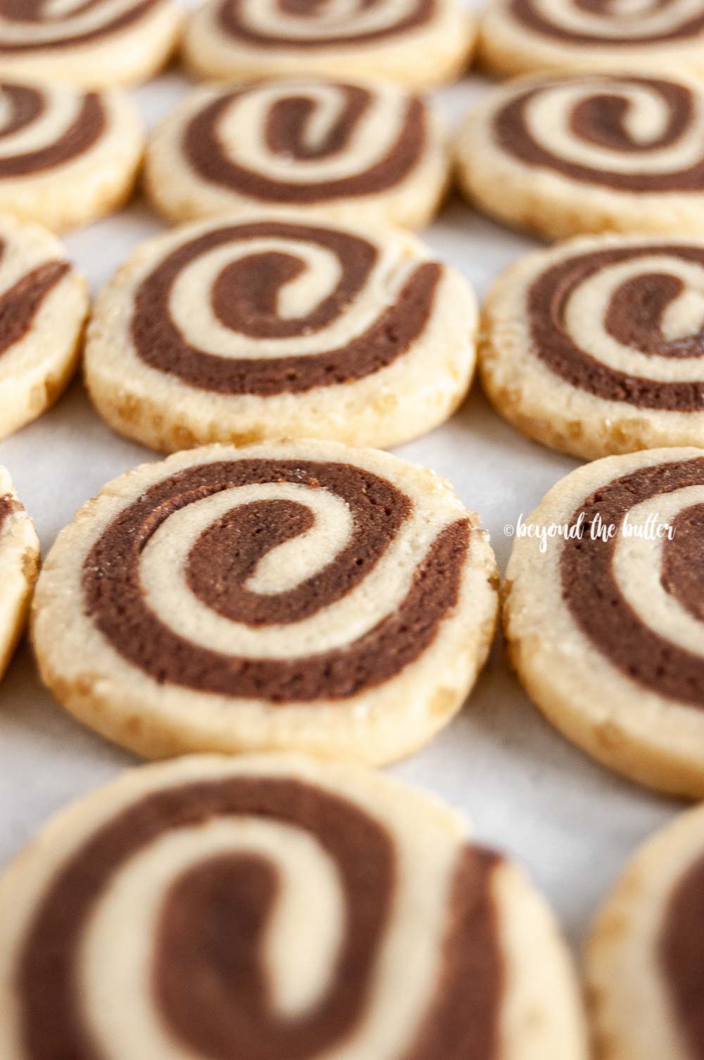 Angled image of Chocolate Pinwheel Cookies in rows | All images © Beyond the Butter™
