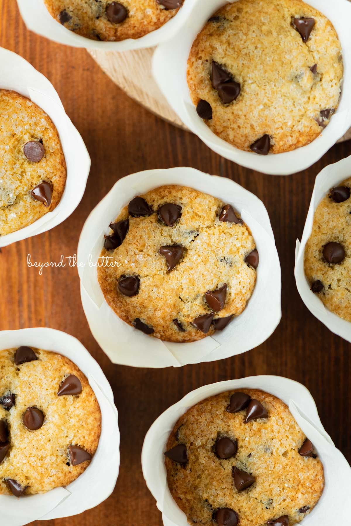 Bakery style chocolate chip muffins on a dark wood background | © Beyond the Butter®