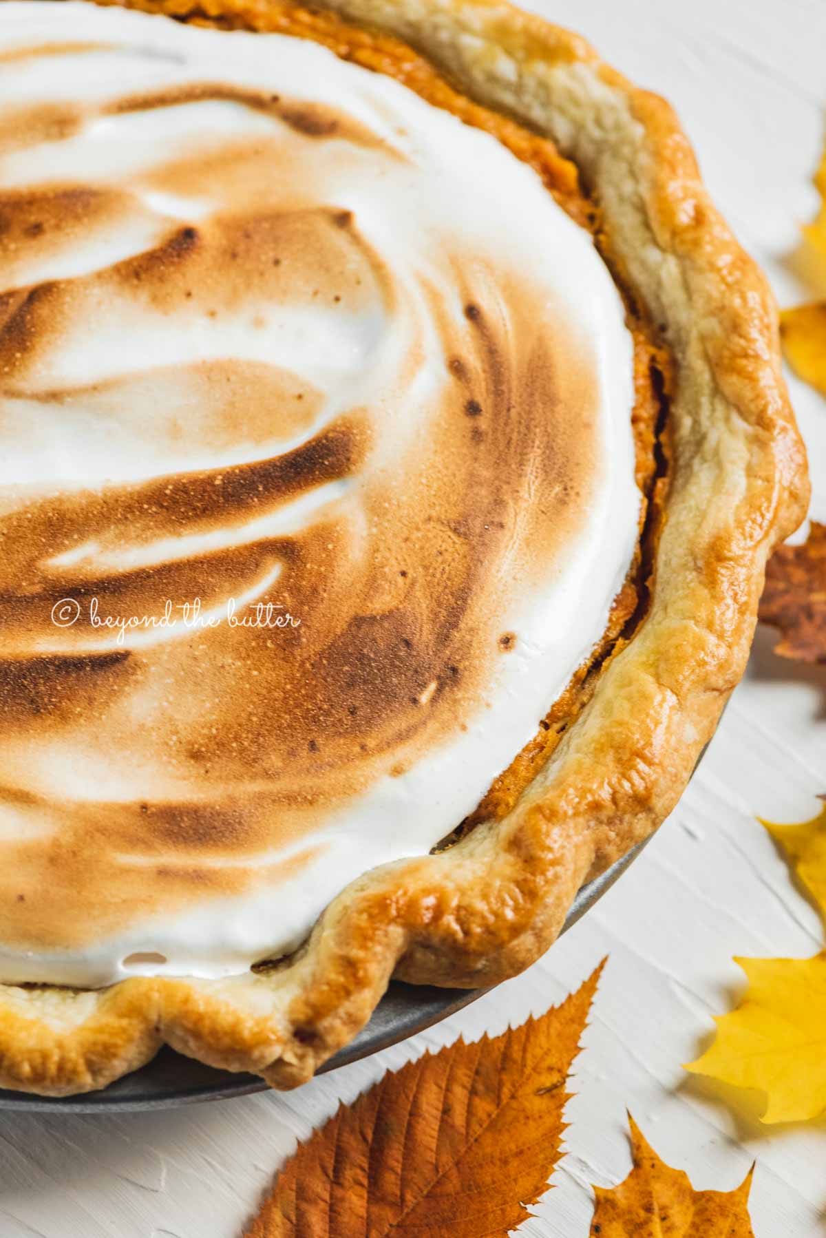 Angled close up of brown sugar sweet potato pie with toasted marshmallow meringue complimented by colorful fall leaves | All Images © Beyond the Butter®