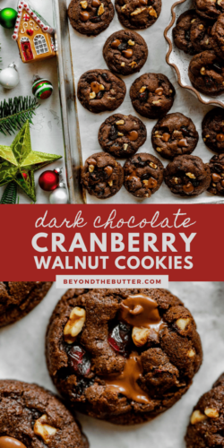 Images of dark chocolate cranberry walnut cookies on light gray background from Beyond the Butter®.