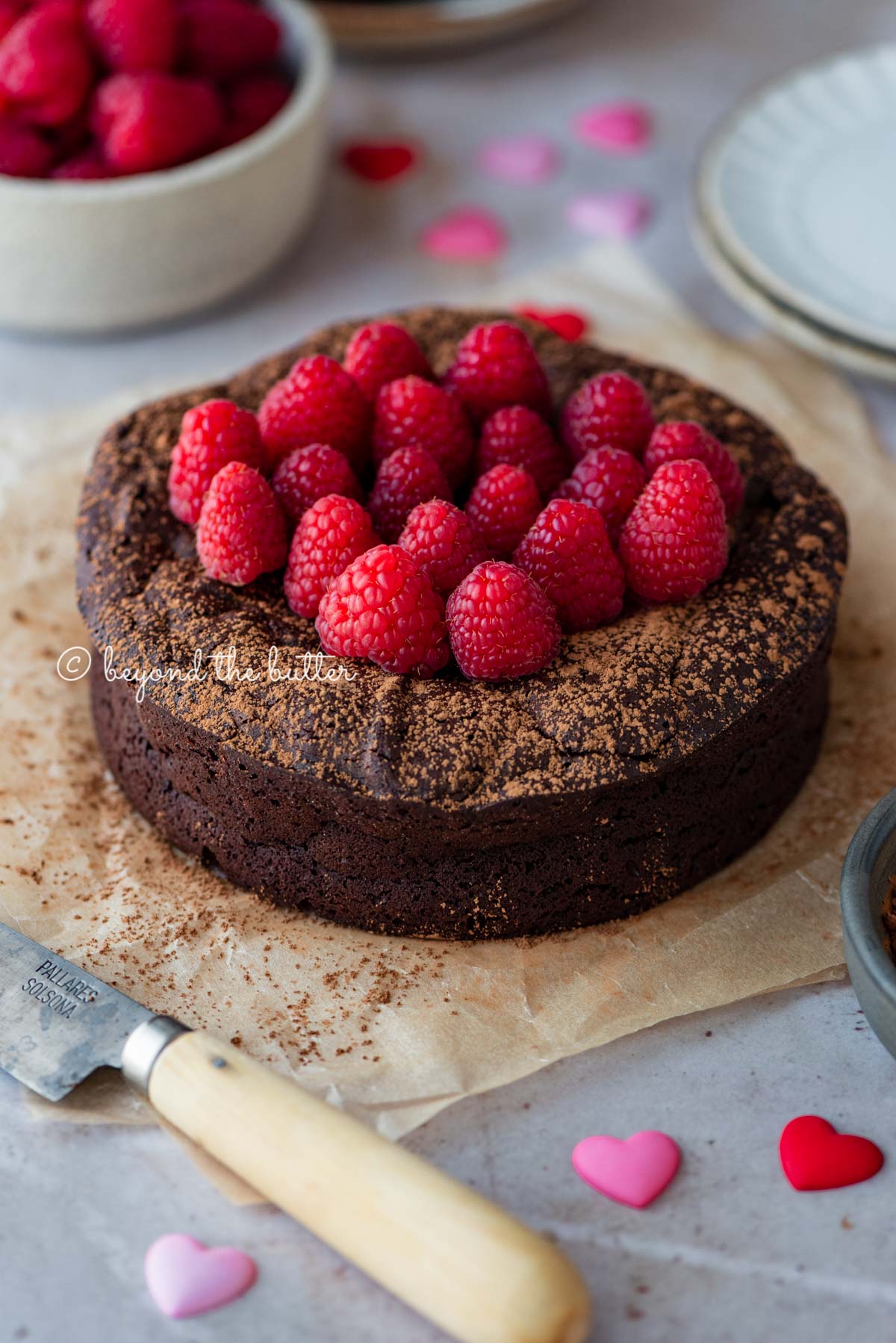 Small flourless chocolate cake topped with cocoa powder and fresh raspberries on parchment paper | All images © Beyond the Butter®