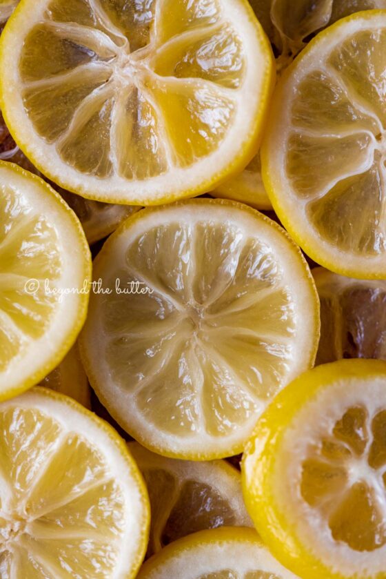 Close up of candied lemon slices | All Images © Beyond the Butter®