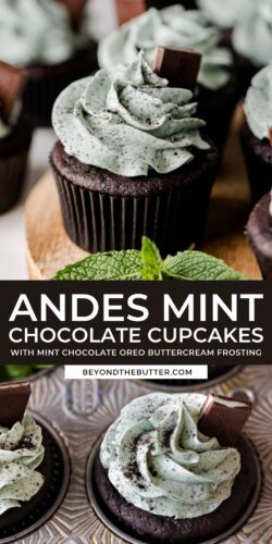 Images of mint chocolate cupcakes from Beyond the Butter®.