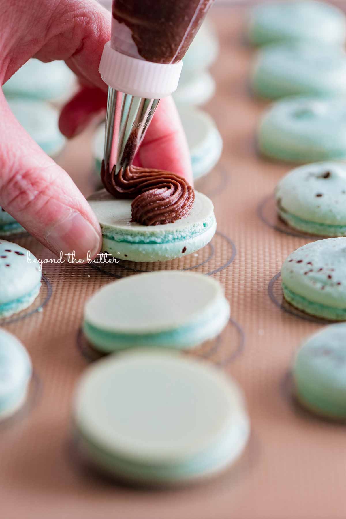 Piping milk chocolate frosting onto robin's egg macaron shells from BeyondtheButter.com | All images © Beyond the Butter®