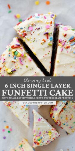 Images of single layer funfetti cake from Beyond the Butter®.