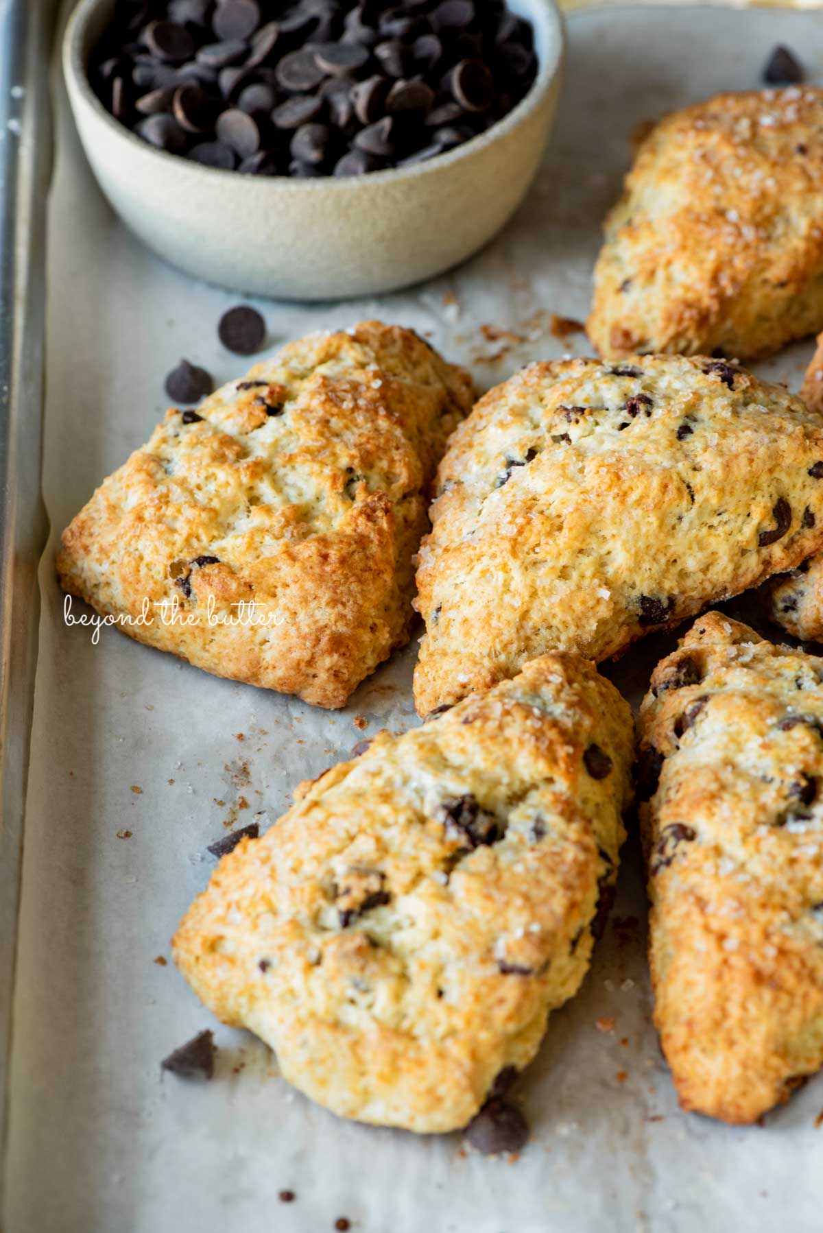 Freshly baked, soft and tender chocolate chip scones on a parchment paper lined baking sheet | © Beyond the Butter®