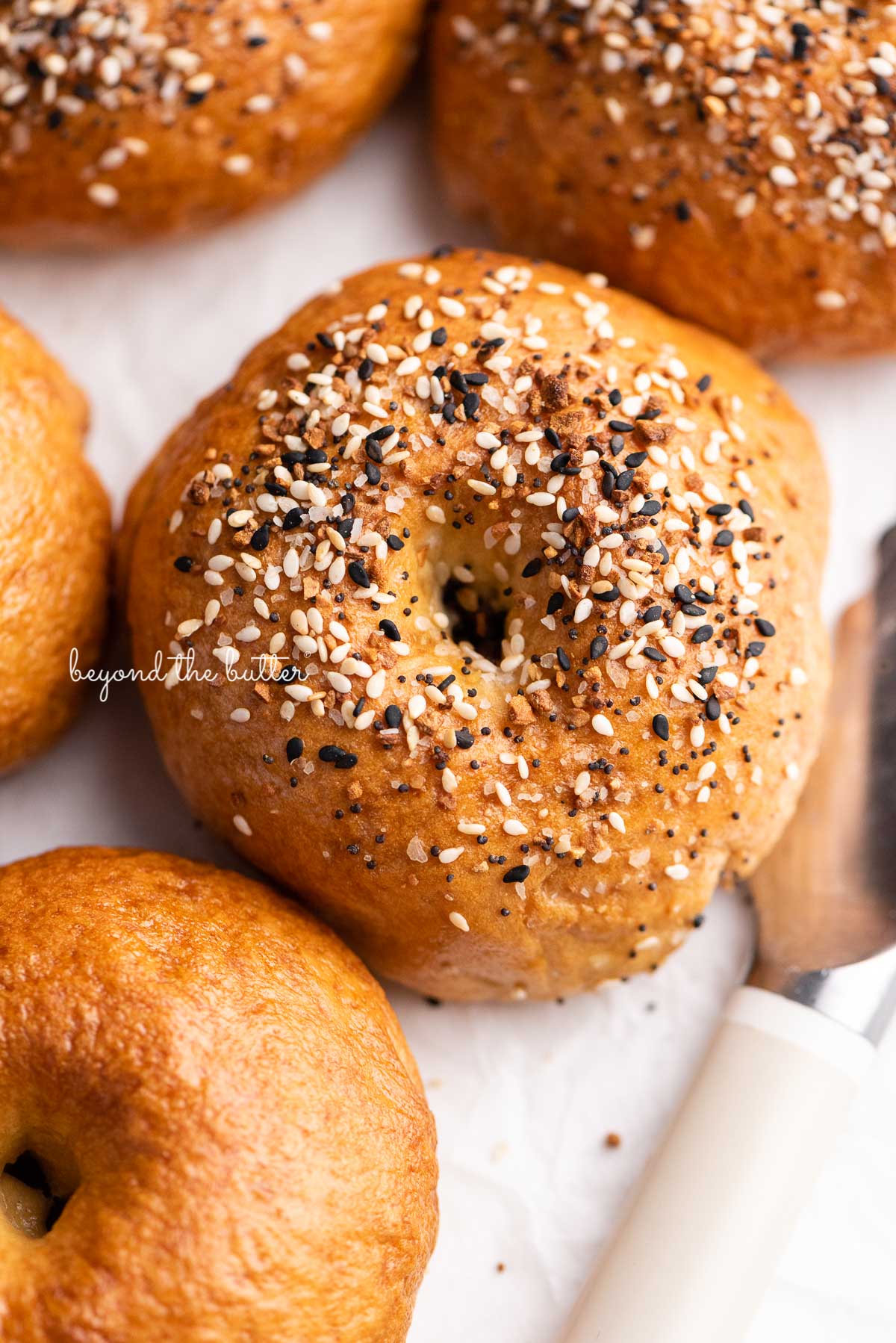 Closeup of easy homemade bagels with everything bagel seasoning on top | © Beyond the Butter®