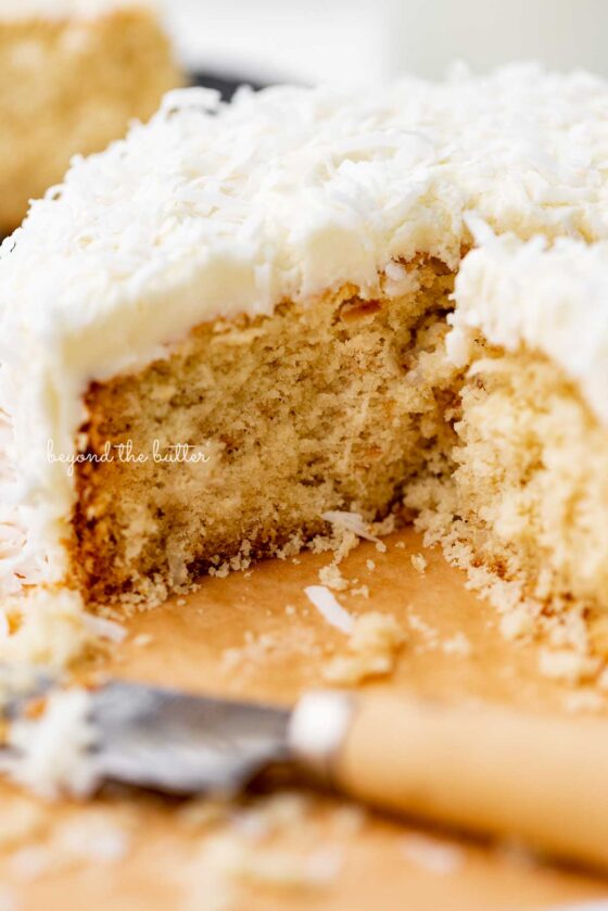 Sliced single layer coconut cake with black background | © Beyond the Butter®