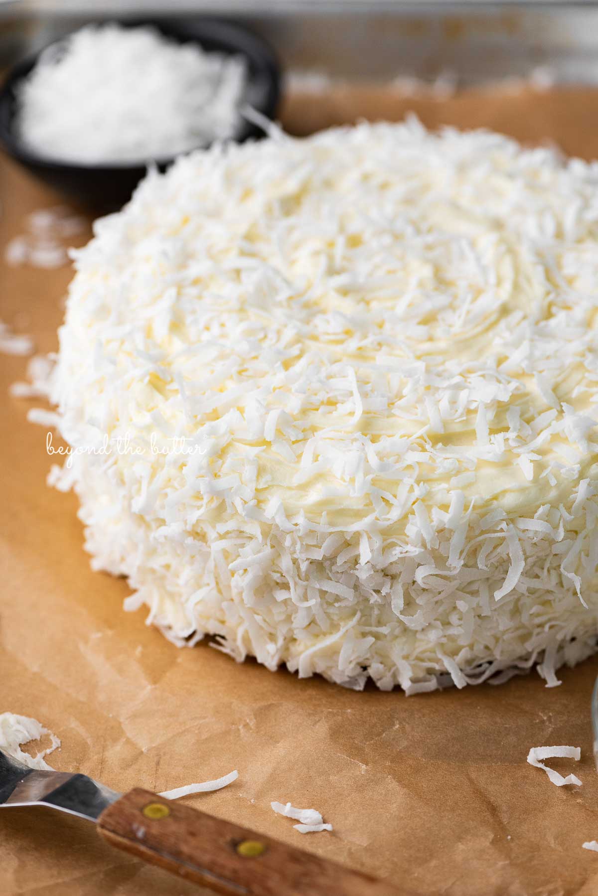 Single layer coconut cake with black background | © Beyond the Butter®