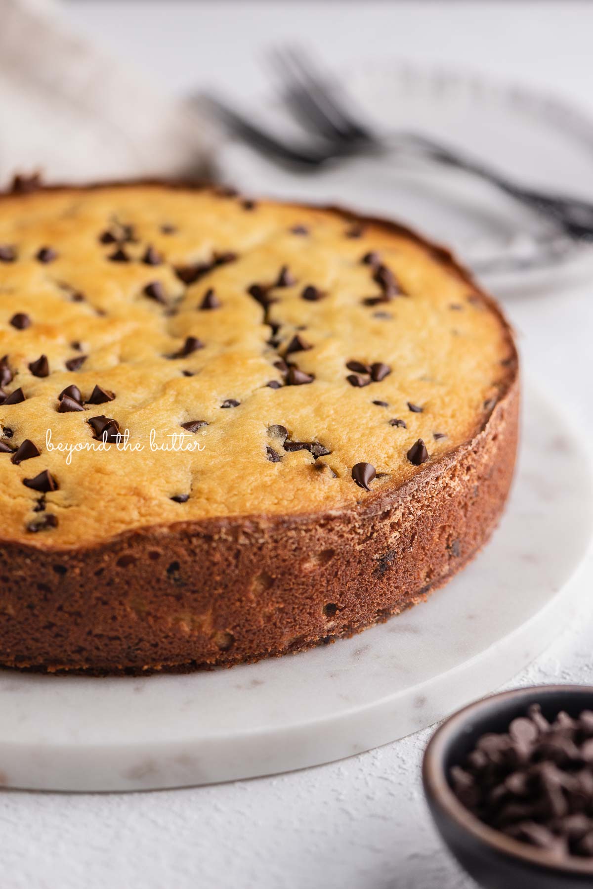 Easy chocolate chip ricotta cake on a marble cake round with small bowl of mini chocolate chips nearby | © Beyond the Butter®