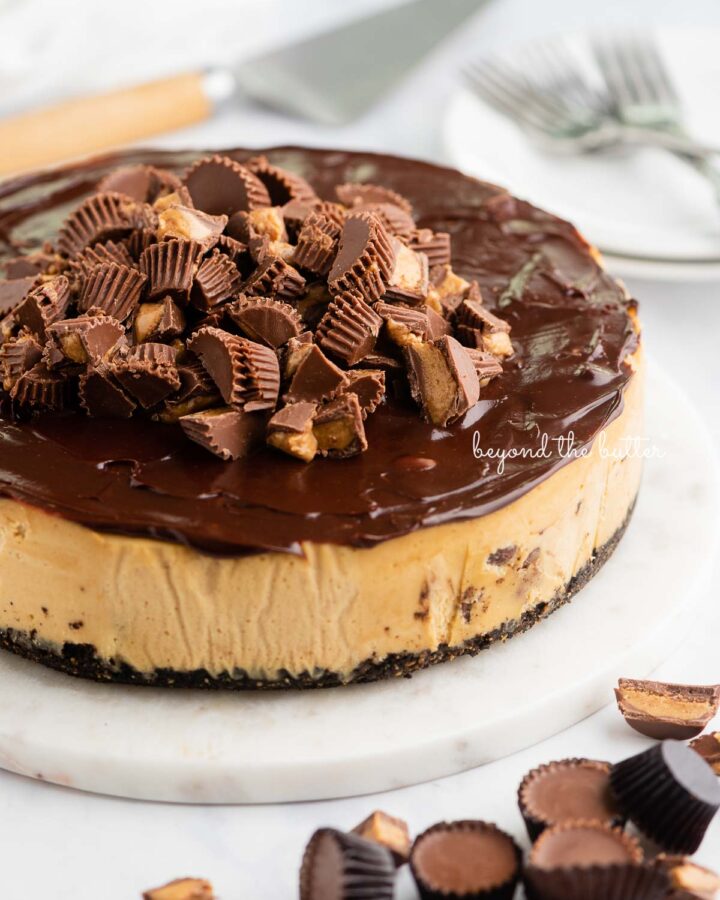 Peanut butter cheesecake topped with chocolate ganache and mini Reese's peanut butter cups on marble plate on white background.