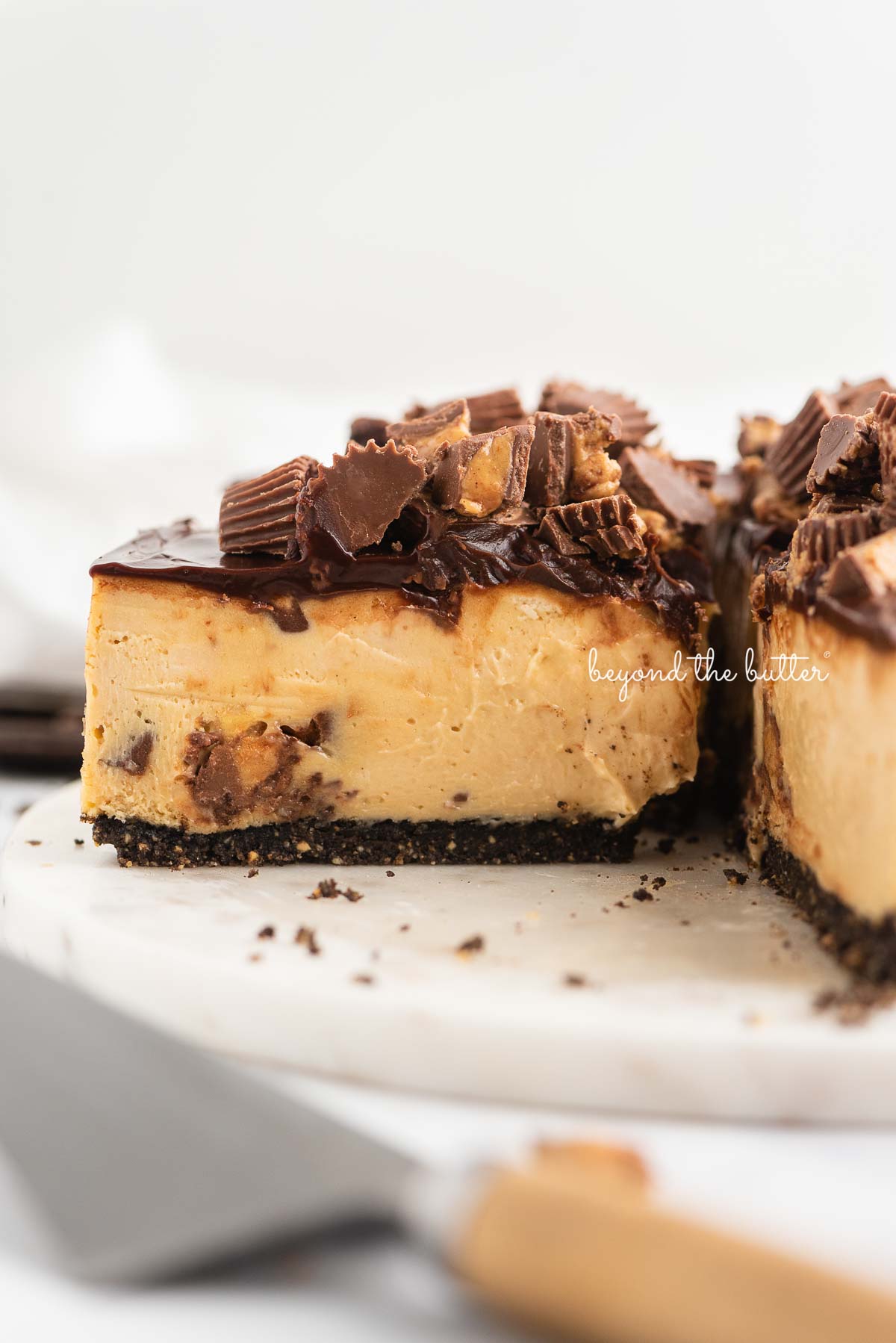 Side view of Reese's peanut butter cup cheesecake topped with chocolate ganache and chopped mini Reese's cups.
