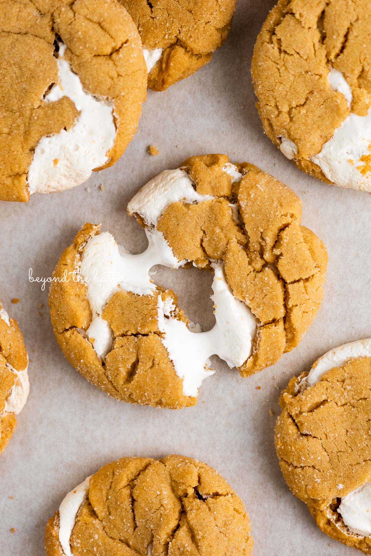 Fluffernutter cookie split in half with melted marshmallow in between on white parchment paper background.