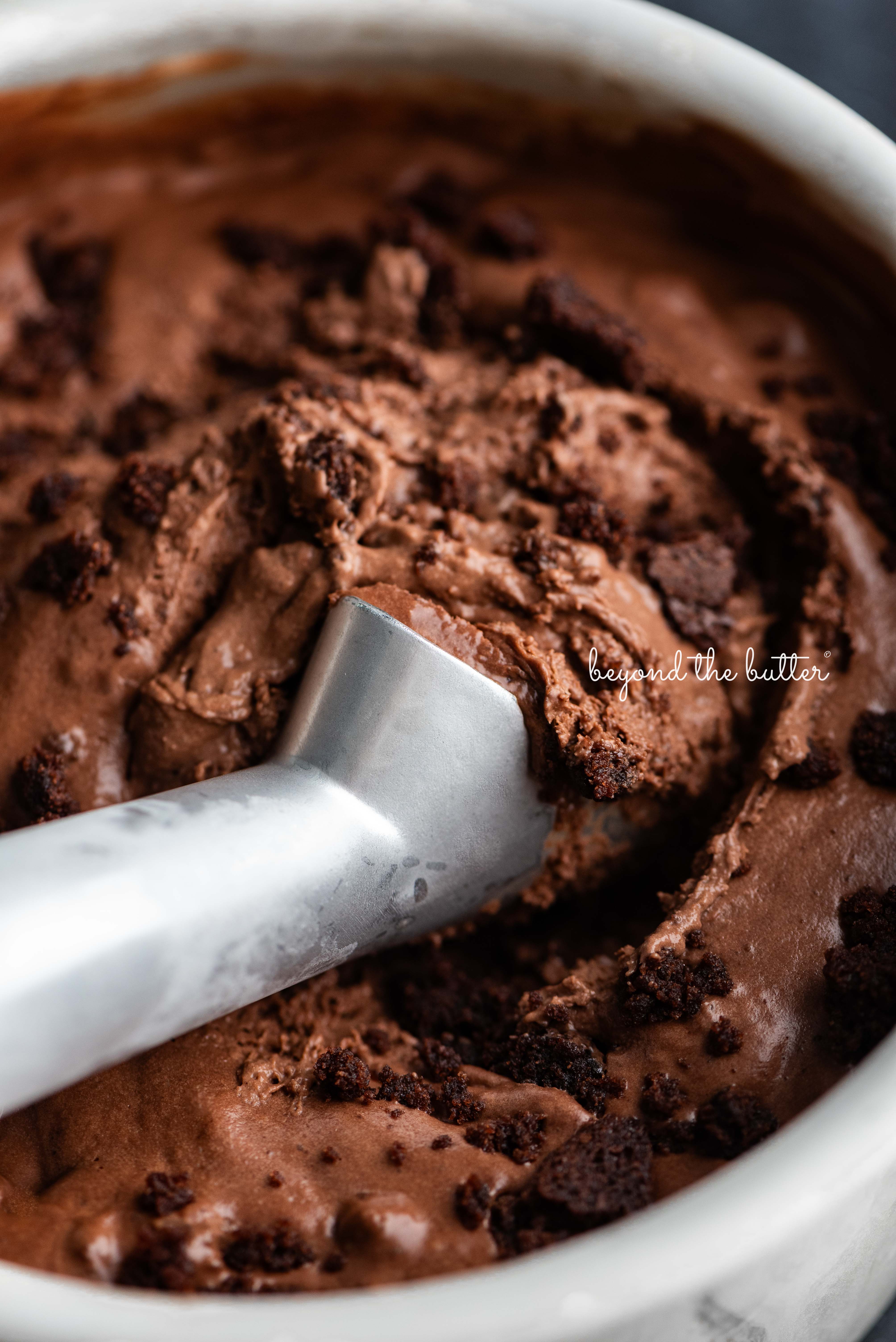 Chocolate Brownie Ice Cream - Beyond the Butter